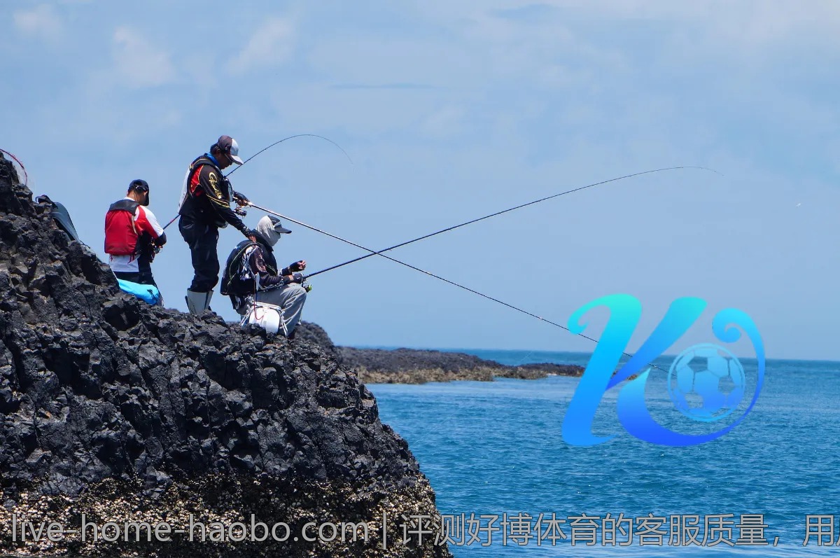 评测好博体育的客服质量,用户反馈中的亮点