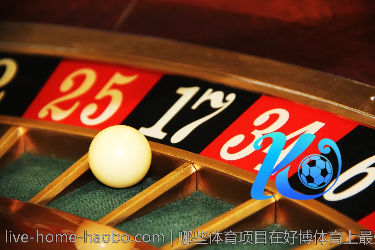 哪些体育项目在好博体育上最受欢迎？一探究竟