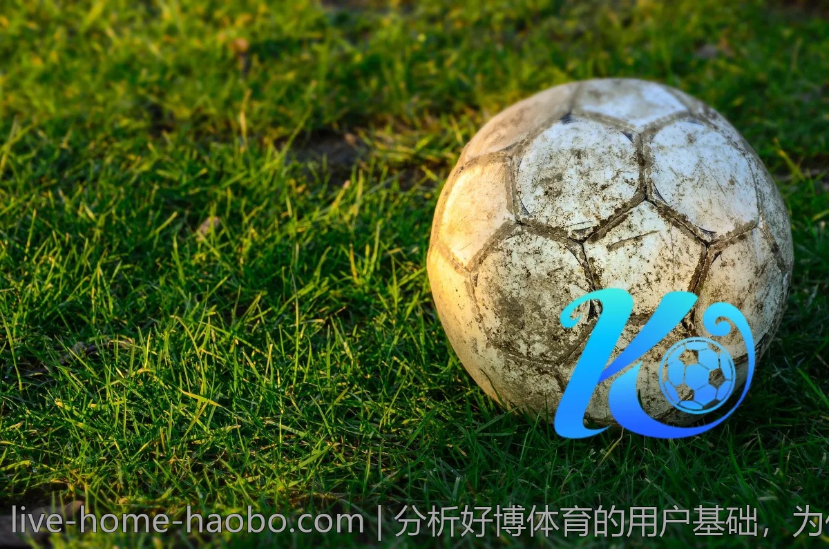 分析好博体育的用户基础,为什么这么火?