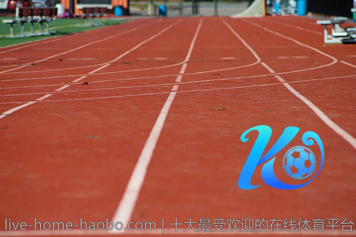 十大最受欢迎的在线体育平台,好博体育为何登榜?