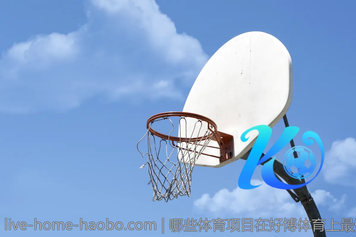 哪些体育项目在好博体育上最受欢迎?一探究竟