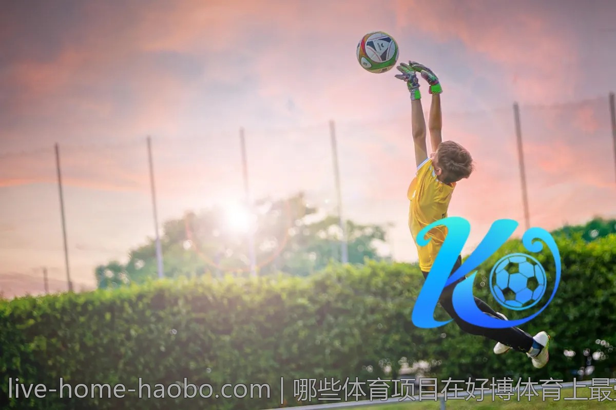 哪些体育项目在好博体育上最受欢迎?一探究竟