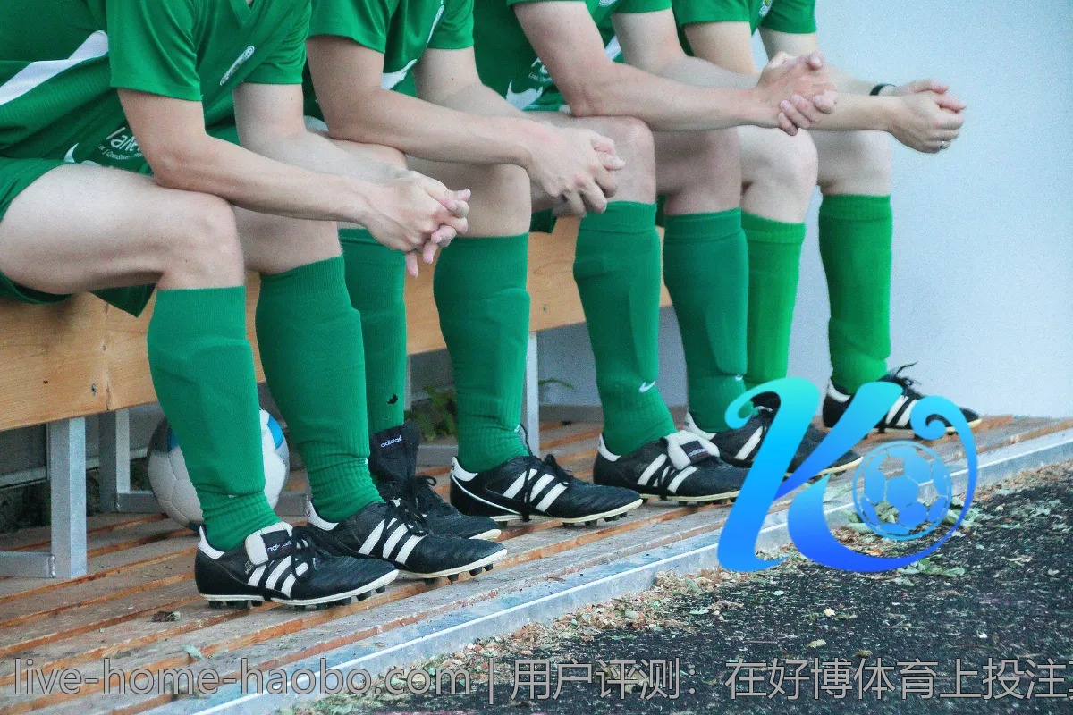 用户评测：在好博体育上投注真实体验分享