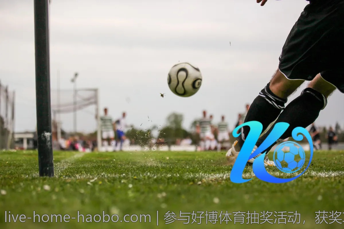 参与好博体育抽奖活动,获奖攻略公开