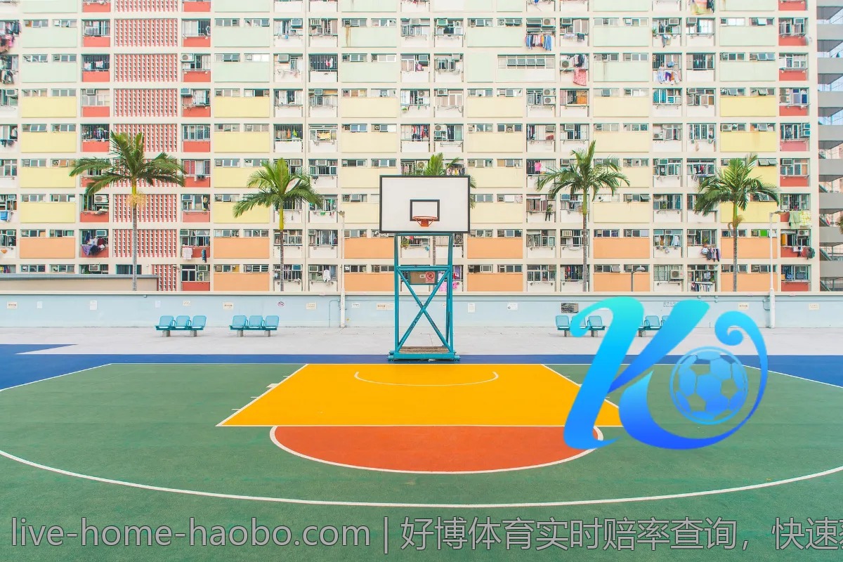 好博体育实时赔率查询,快速获取最准确数据